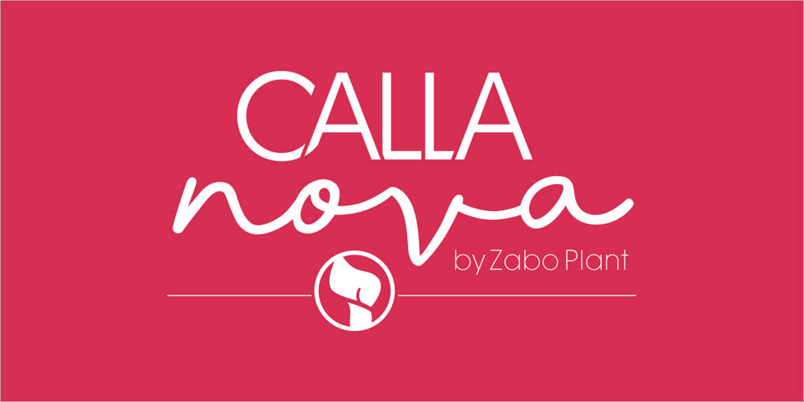 Presentatie-CallaNova-02