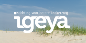 Presentatie-IGEYA-1