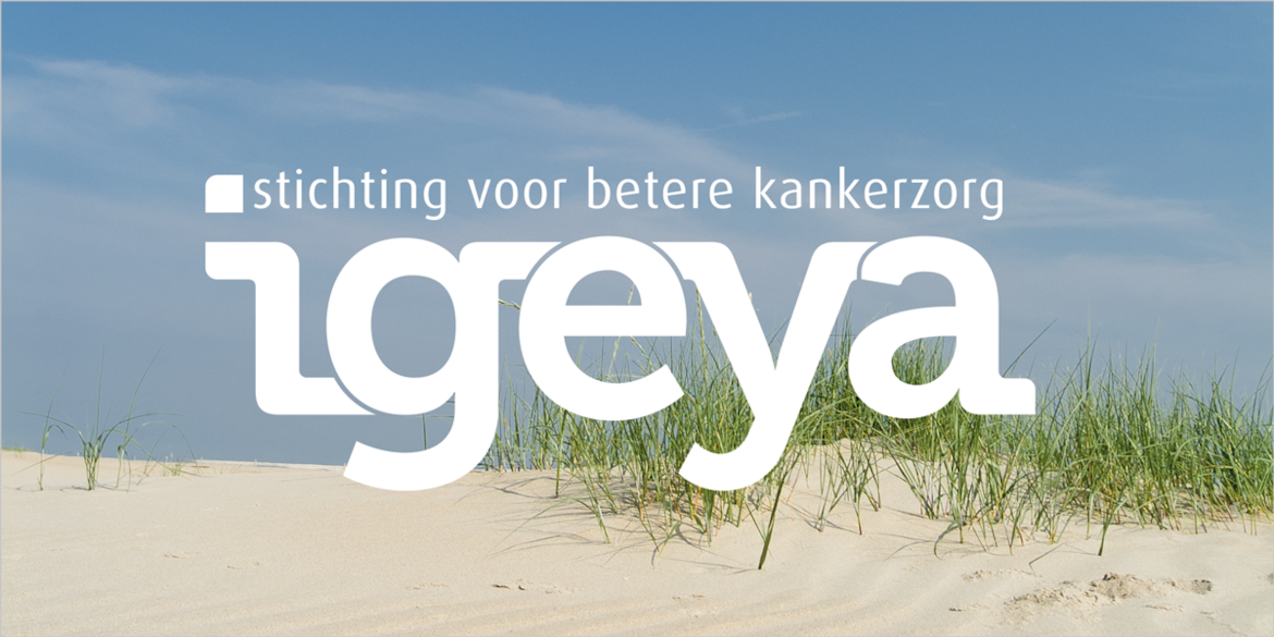 Presentatie-IGEYA-1