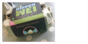 Presentatie-kippenwei4