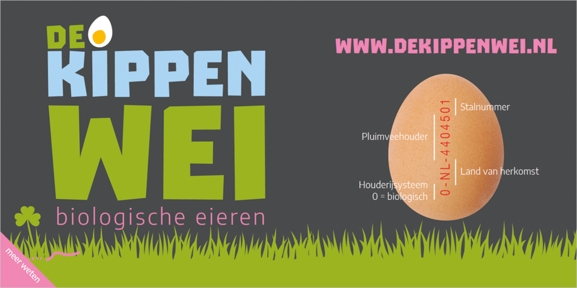 Presentatie-kippenwei2