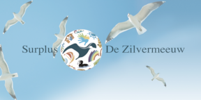 Presentatie-websites-zilvermeeuw-0