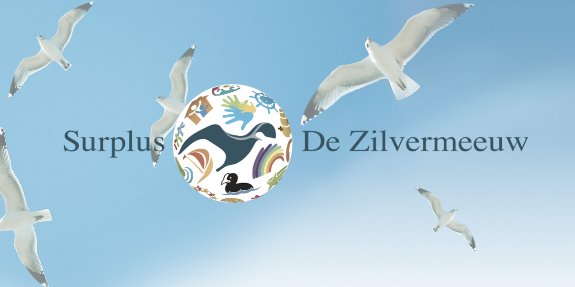 Presentatie-websites-zilvermeeuw-0