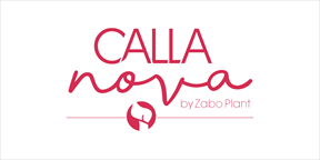 Presentatie-CallaNova-0